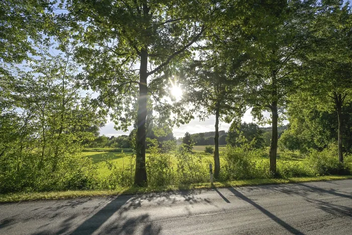 Framed Print : Allee im Nordlippischen Bergland bei Vlotho
