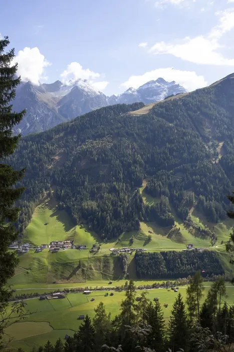 Framed Print : Alm with forest and mountains, Neustift im Stubai Valley