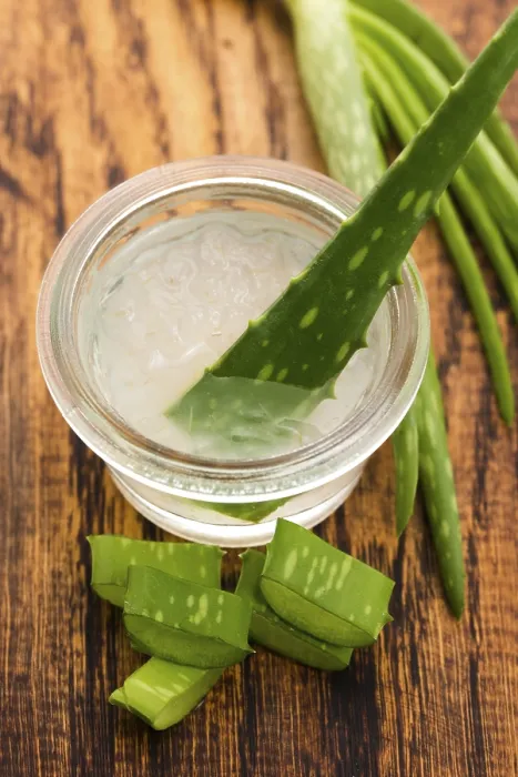 Framed Print : Aloe vera juice with fresh leaves Framed Print : Aloe vera juice with fresh leaves