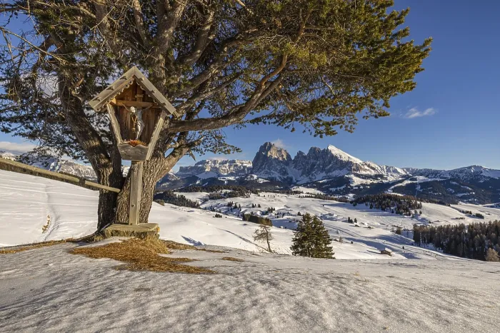Framed Print : Alpe di Siusi at the Contrin hut