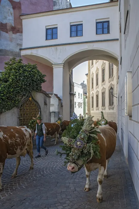 Framed Print : Alpine hut tour through the historic centre of Schwaz