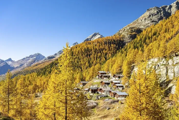 Framed Print : Alpine huts on the Fafleralp, Loetschental