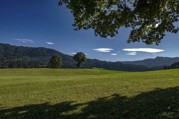 Framed Print : Alpine Landscape With Forests And Pastures In Tyrol Near Bad Haering At Kufstein In Austria