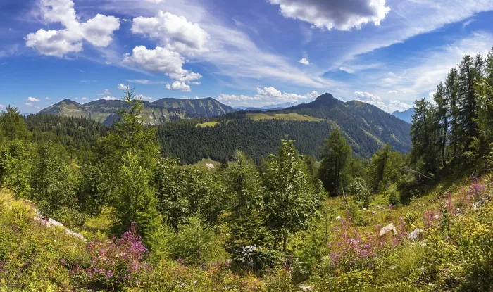 Framed Print : Alpine landscape on the Trattbergalm