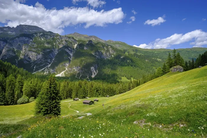Framed Print : Alpine meadows of the Oberreinsalm