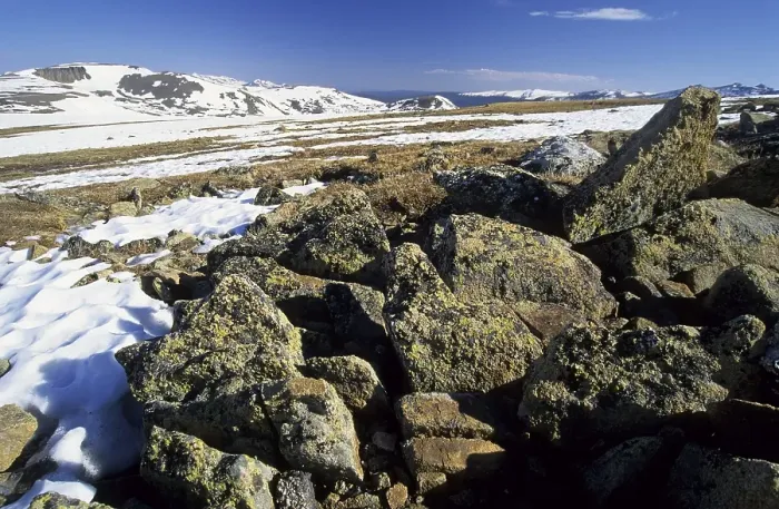 Framed Print : Alpine tundra in Rocky Mountains National Park Framed Print : Alpine tundra in Rocky Mountains National Park