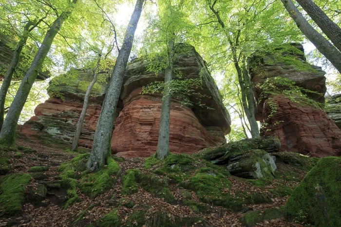 Framed Print : Altschlossfelsen, natural monument Framed Print : Altschlossfelsen, natural monument
