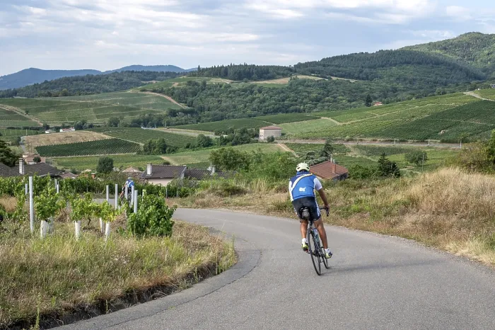 Framed Print : Amateur cyclist descending the slopes of Mont Brouilly
