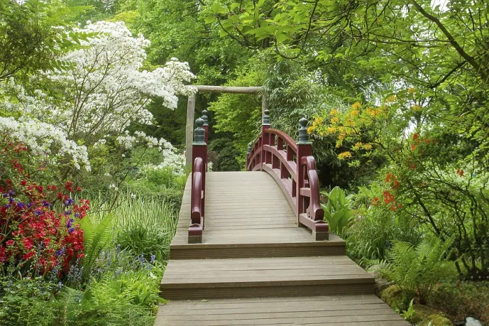 Framed Print : Amazing Japanese garden in Leverkusen in May Framed Print : Amazing Japanese garden in Leverkusen in May