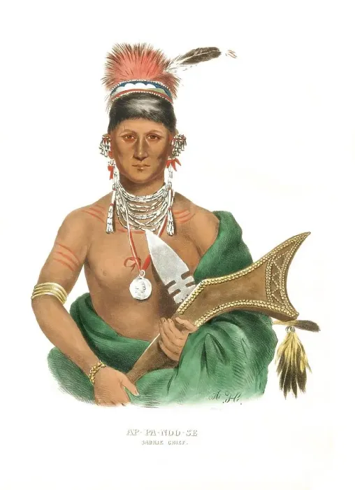 Framed Print : American Indian, Native American