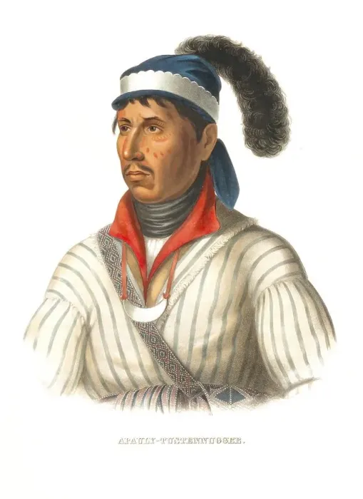 Framed Print : American Indian, Native American