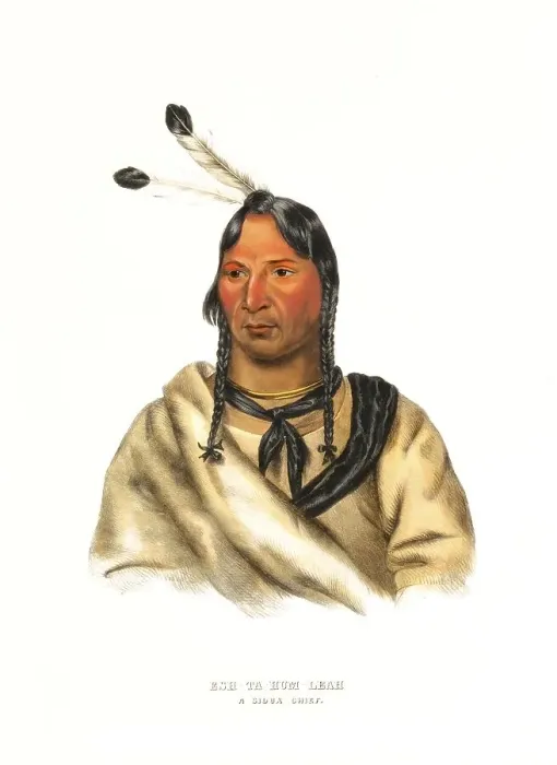 Framed Print : American Indian, Native American