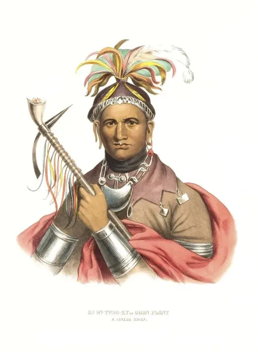 Framed Print : American Indian, Native American