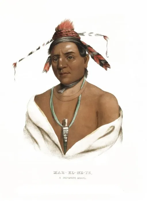 Framed Print : American Indian, Native American