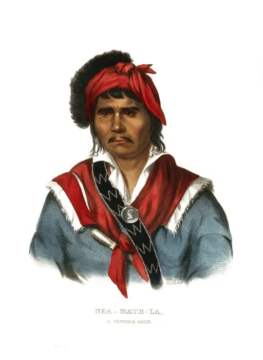 Framed Print : American Indian, Native American