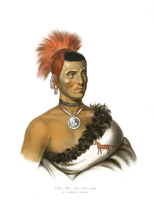Framed Print : American Indian, Native American