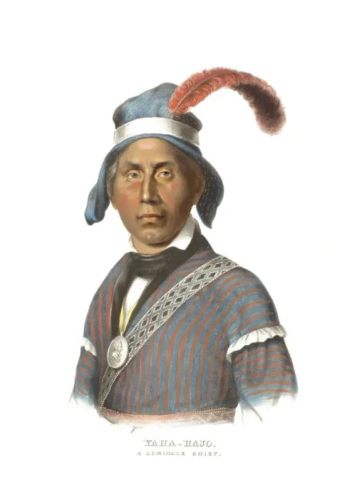 Framed Print : American Indian, Native American