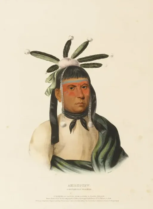 Framed Print : Amiskquew. A Menominie Warrior (1843)
