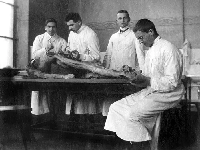 Framed Print : Anatomy instruction, historical image, ca. 1929 Framed Print : Anatomy instruction, historical image, ca. 1929