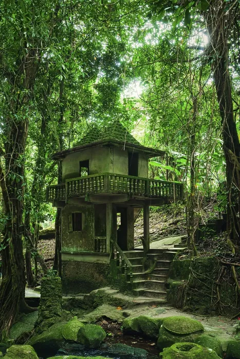 Framed Print : An ancient stone house surrounded by dense and overgrown forest