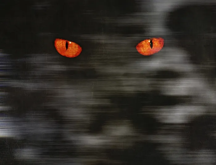 Framed Print : Animal eyes stare at something from dark wall