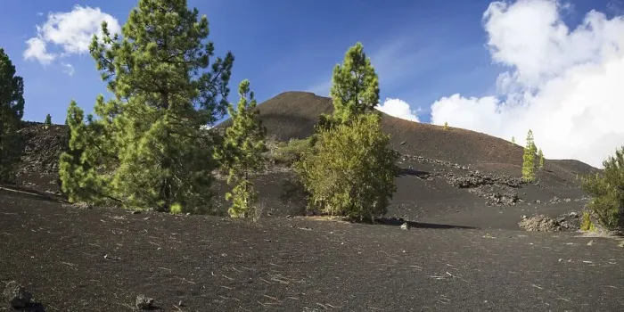 Framed Print : Arena Negras, Teide National Park