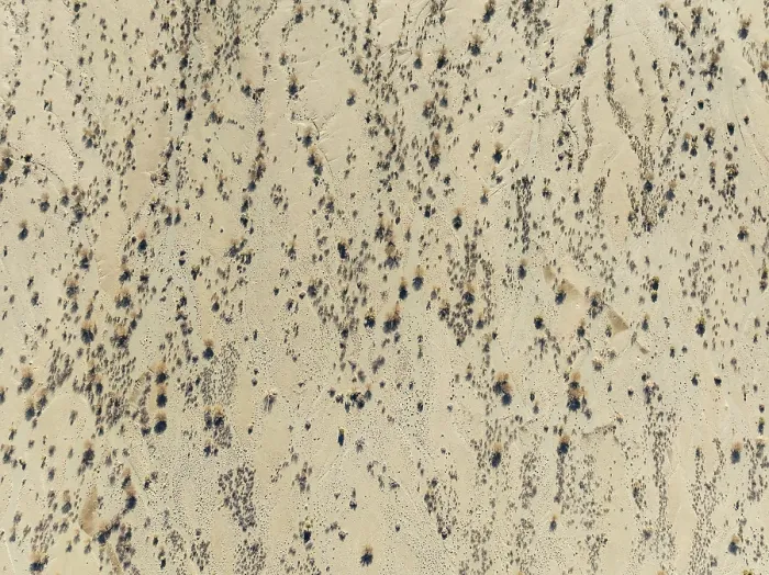 Framed Print : Arid desert plain and dried-up riverbeds with sparse vegetation