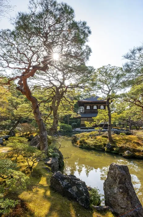 Framed Print : Artfully designed Japanese garden with pond and silver pavilion ginkaku Framed Print : Artfully designed Japanese garden with pond and silver pavilion ginkaku