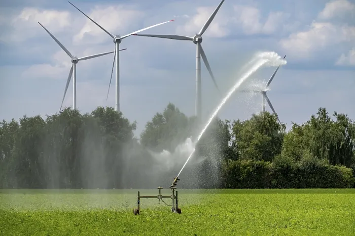 Framed Print : Artificial irrigation with a sprinkler system in a field where carrots are grown