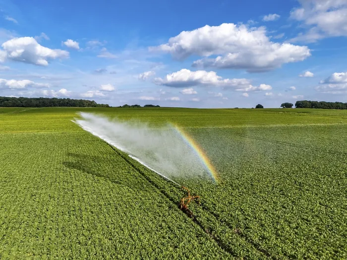 Framed Print : Artificial irrigation with a sprinkler system in a field where sugar beet is grown Framed Print : Artificial irrigation with a sprinkler system in a field where sugar beet is grown