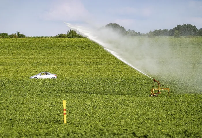 Framed Print : Artificial irrigation with a sprinkler system of a field on which sugar beet is grown