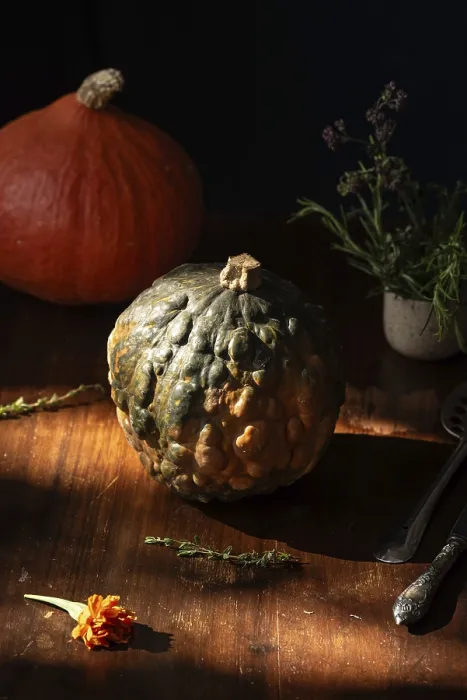 Framed Print : An artistic still life captures rustic autumn vibes with textured gourds