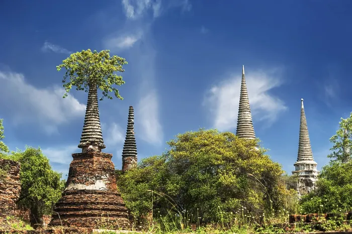 Framed Print : Asian religious architecture. Ancient ruins with growing trees under blue sky