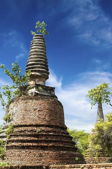 Framed Print : Asian religious architecture. Ancient ruins with growing trees under blue sky