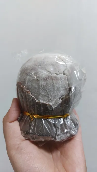 Framed Print : Asin tibuok which is a rare Filipino artisanal sea salt from Bohol Framed Print : Asin tibuok which is a rare Filipino artisanal sea salt from Bohol