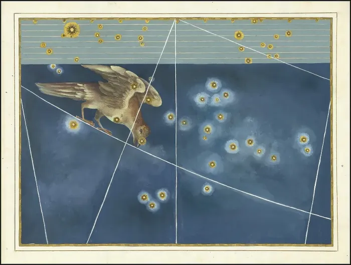 Framed Print : Astronomy. The Celestial Atlas, the Uranometria, Ptolemaic constellations, by Johann Bayer (1572 - 7 March 1625), German astronomer, Corvus, Raven, constellation south of the celestial equator, digitally enhanced reproduction of a historical model Framed Print : Astronomy. The Celestial Atlas, the Uranometria, Ptolemaic constellations, by Johann Bayer (1572 - 7 March 1625), German astronomer, Corvus, Raven, constellation south of the celestial equator, digitally enhanced reproduction of a historical model