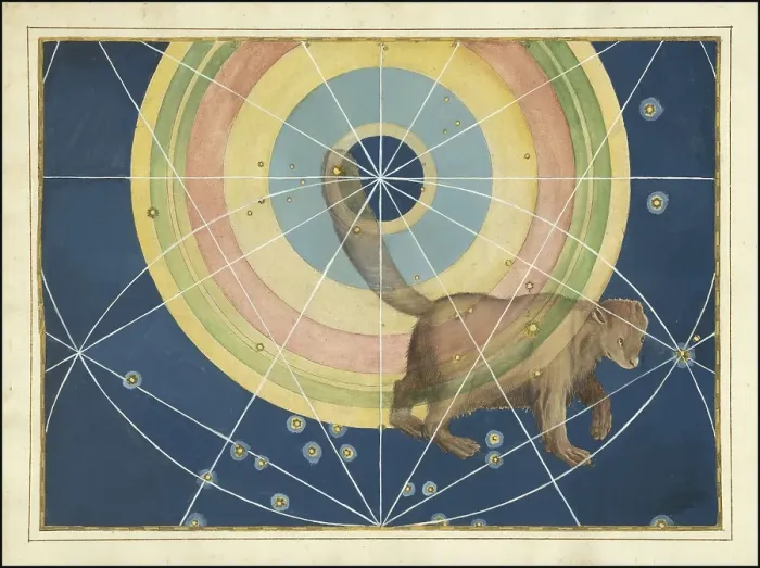 Framed Print : Astronomy. The Celestial Atlas, the Uranometria, Ptolemaic constellations, by Johann Bayer (1572 - 7 March 1625), German astronomer, Ursa Minor, Little Bear, constellation of the northern sky, digitally enhanced reproduction of a historical model