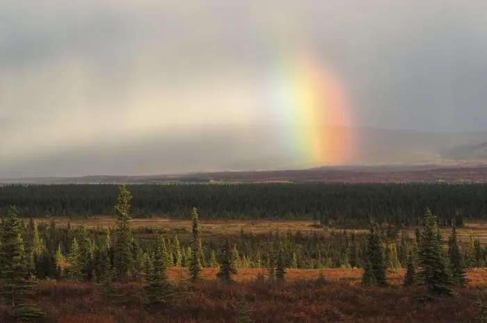 Framed Print : Atmospheric ligth with rainbow Denali Nationalpark Alaska USA