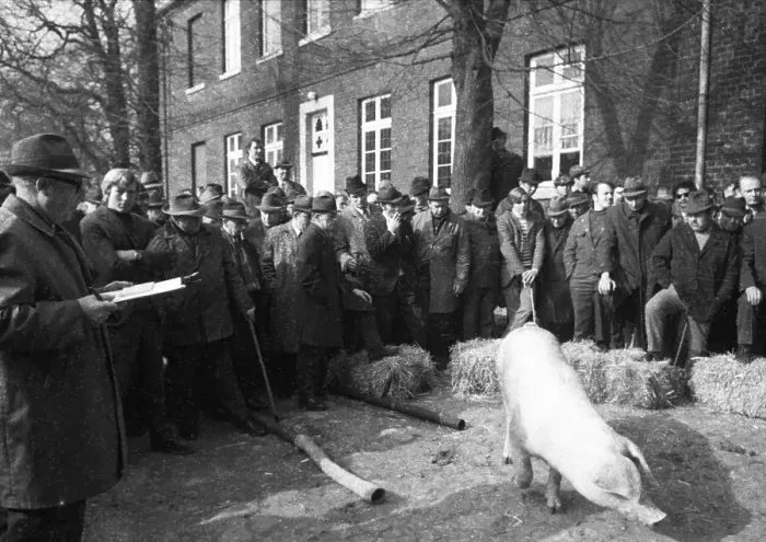 Framed Print : The auction of a farm on 2. 3. 1972 in the Muensterland in Ascheberg with all inventory and livestock Framed Print : The auction of a farm on 2. 3. 1972 in the Muensterland in Ascheberg with all inventory and livestock
