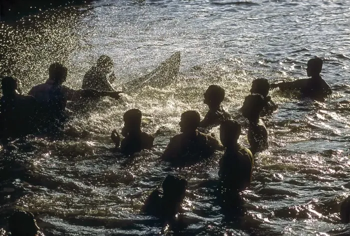 Framed Print : Audience playing with water during the Snake boat race at Payippad near Haripad