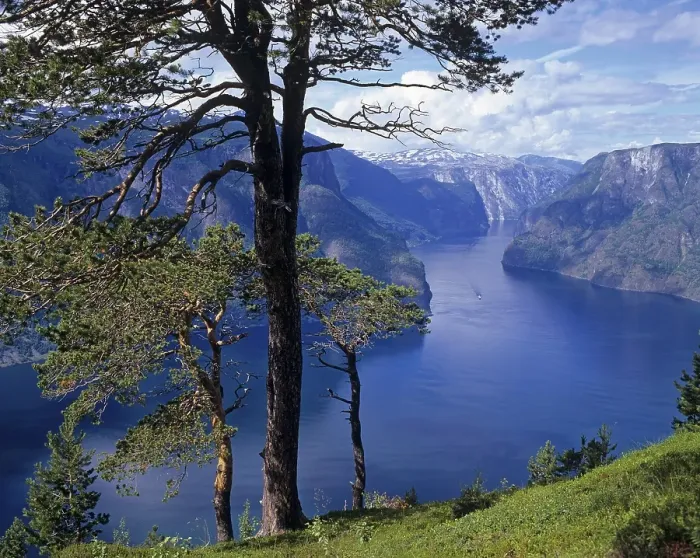 Framed Print : Aurlandsfjord, Aurland, Sogn og Fjordane Framed Print : Aurlandsfjord, Aurland, Sogn og Fjordane