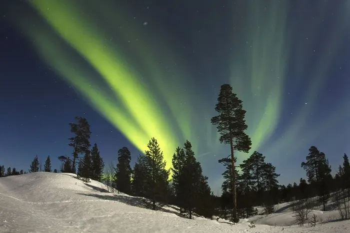 Framed Print : Aurora Borealis over coniferous forest in snow at night Framed Print : Aurora Borealis over coniferous forest in snow at night