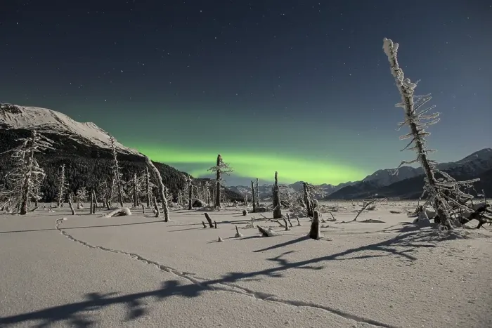 Framed Print : Aurora borealis, moonlight and coyote tracks at Twenty Mile River Framed Print : Aurora borealis, moonlight and coyote tracks at Twenty Mile River