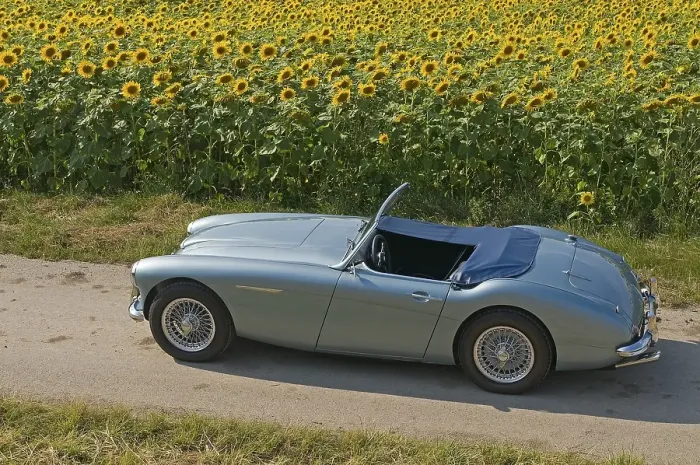 Framed Print : Austin-Healey 3000, built in 1959 Framed Print : Austin-Healey 3000, built in 1959