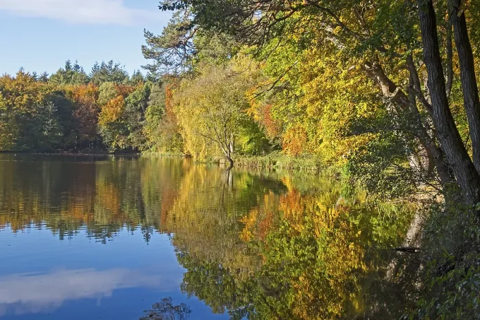 Framed Print : Autumn