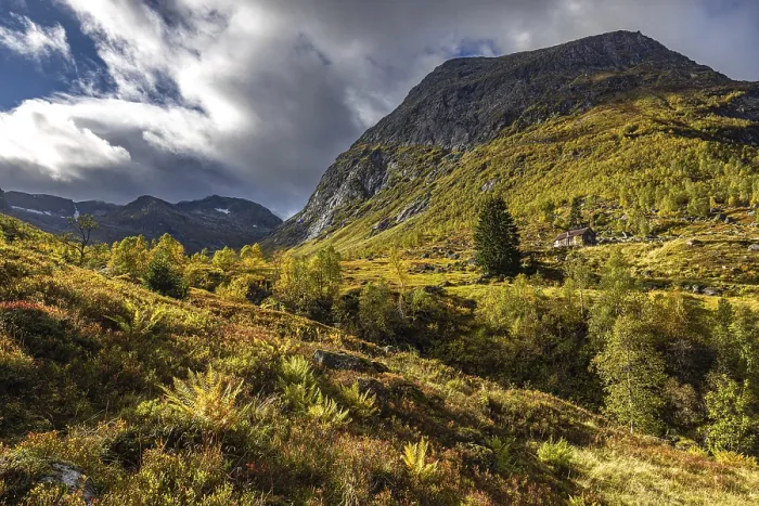 Framed Print : Autumn colors on the R5, Vestland, Norway