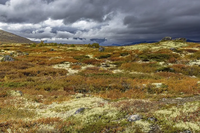Framed Print : Autumn on Dovrefjell, Innlandet, Norway