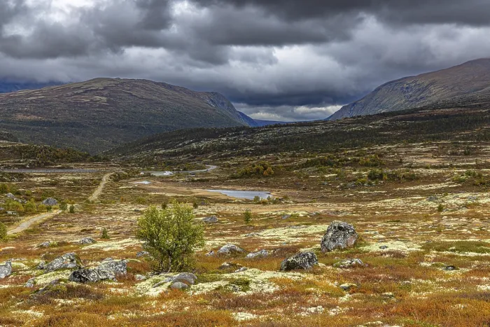 Framed Print : Autumn on Dovrefjell, Innlandet, Norway Framed Print : Autumn on Dovrefjell, Innlandet, Norway