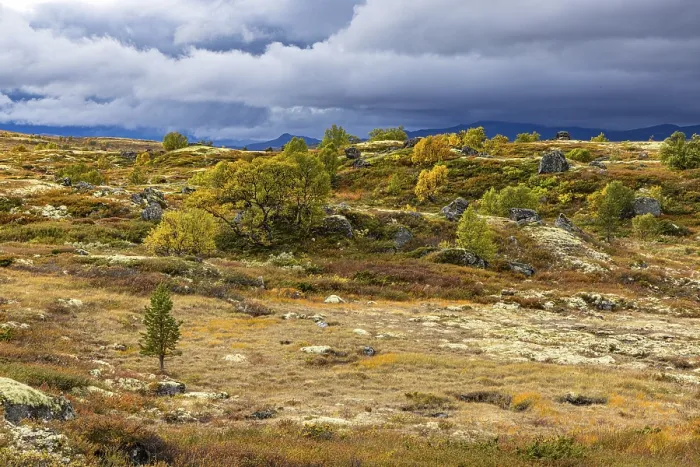 Framed Print : Autumn on Dovrefjell, Innlandet, Norway
