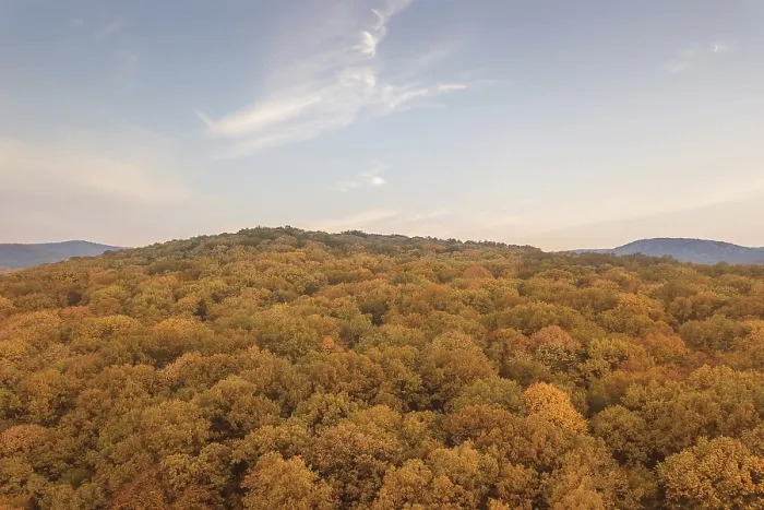 Framed Print : Autumn forest colorful trees and leafs aerial view Framed Print : Autumn forest colorful trees and leafs aerial view